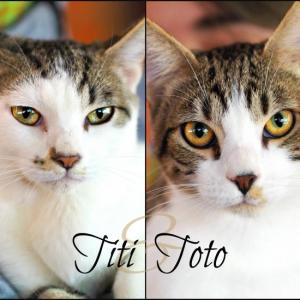 Titi & Toto