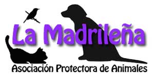 (c) Adopcioneslamadrilena.org