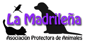 La Madrileña