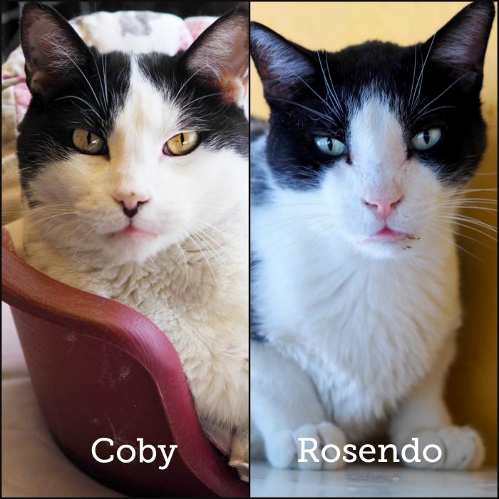 Coby & Rosendo